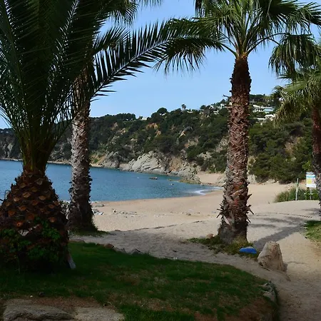 Casitas Blanca
