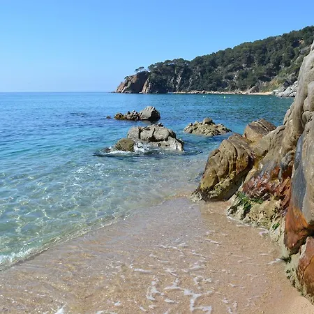 Casitas Blanca